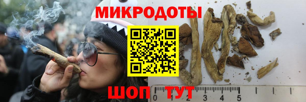 Галлюциногенные грибы GOLDEN TEACHER  Вход с VPN  Брянск 